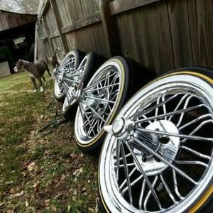 Meet your Posher, Timothy